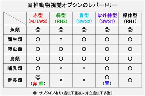 魚顏色|第3回 魚の色覚はすごい！ 